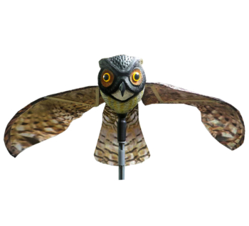 Bird-X image 4