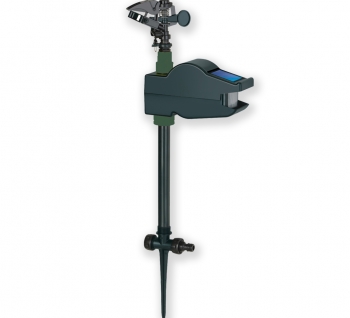 Bird-X image 1