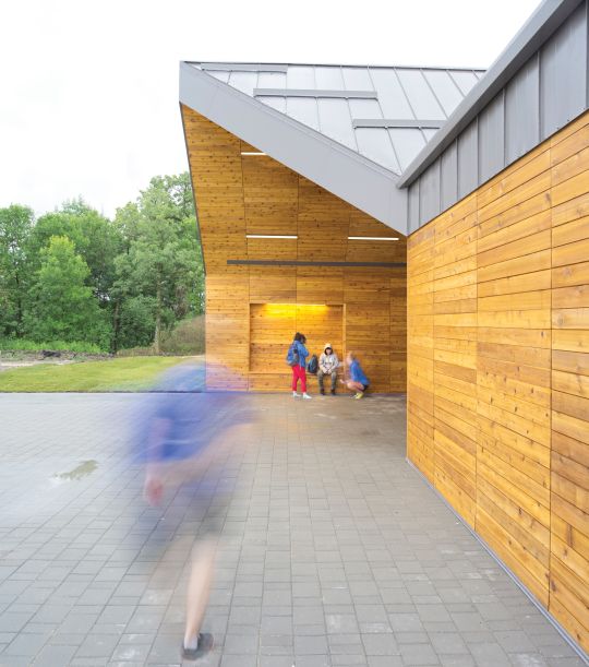 Real Cedar image 10