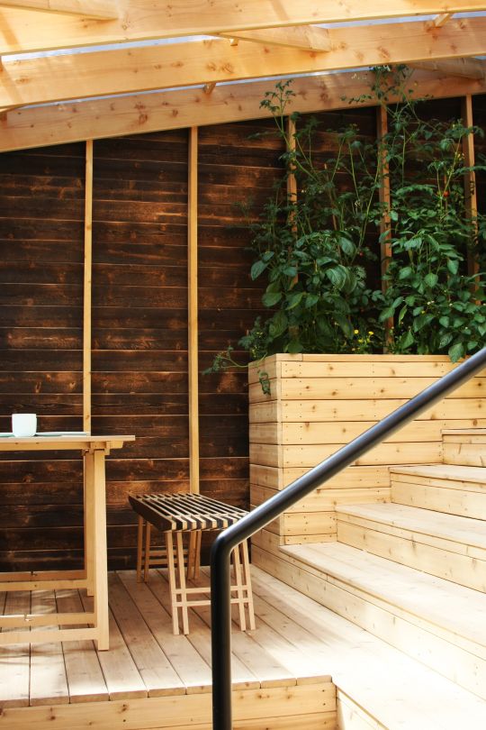 Real Cedar image 3