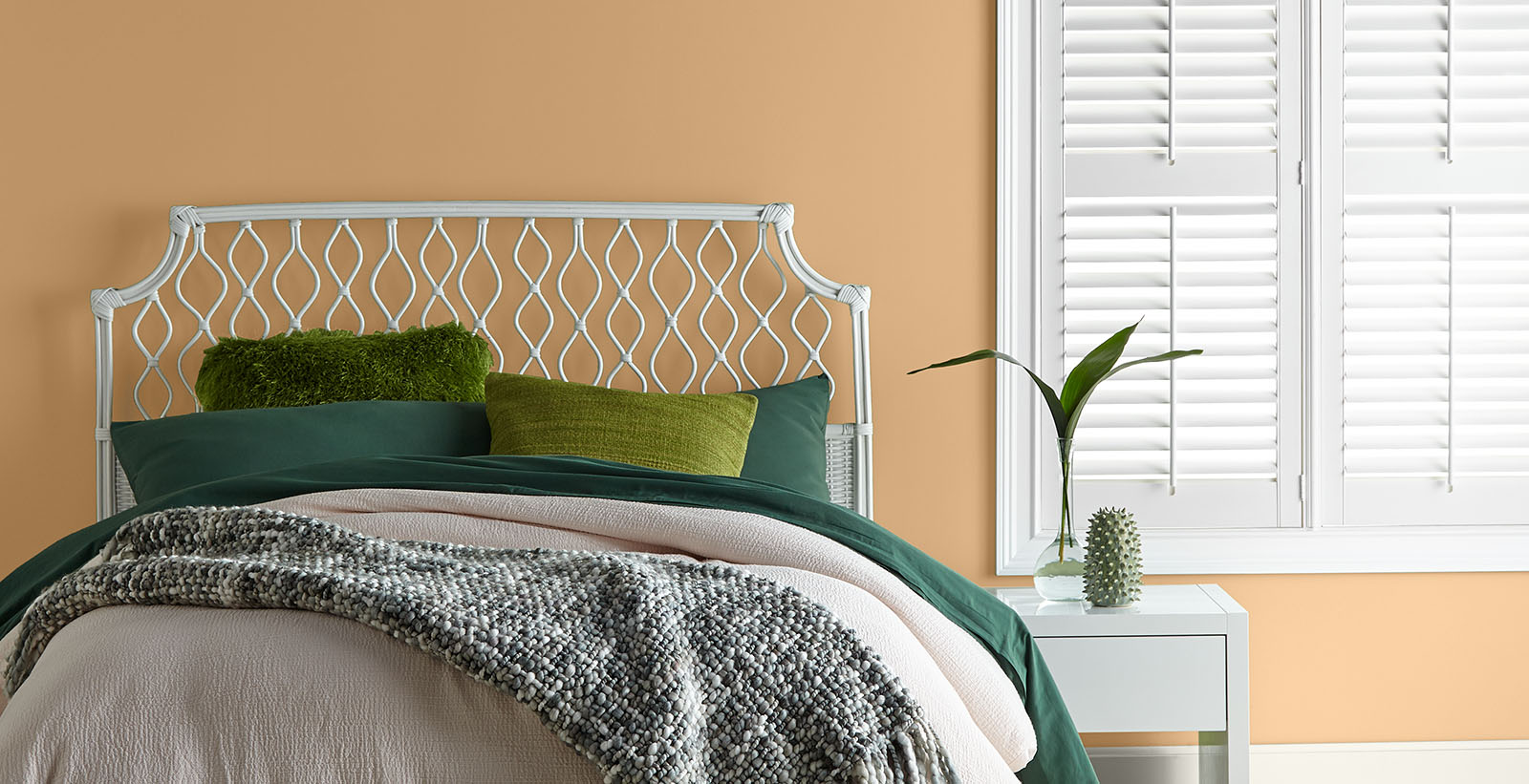 Behr image 2