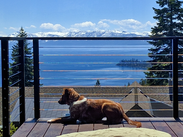 Stainless Cable & Railing Inc. image 5