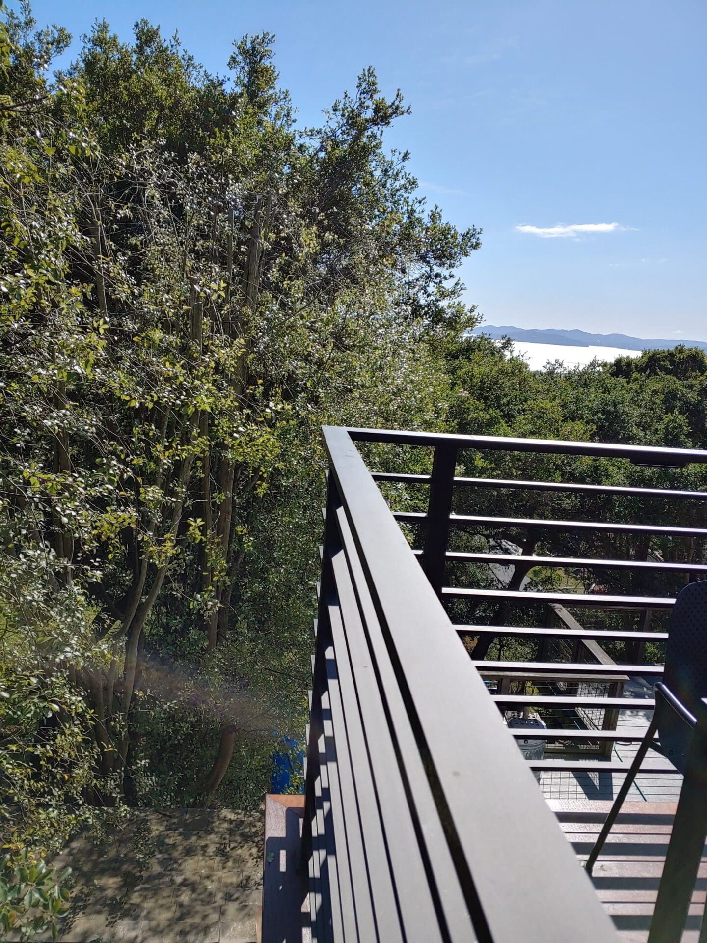 Deck Rail image 2