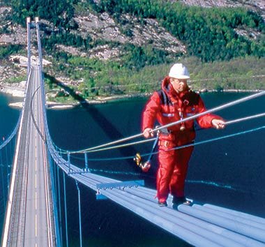 Flexible Lifeline Systems image 19