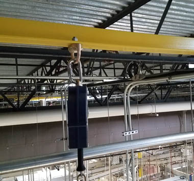 Flexible Lifeline Systems image 1