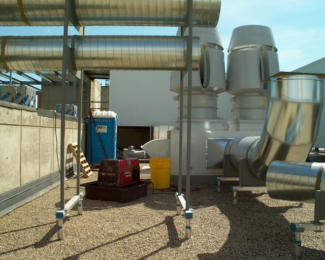 Thaler image 11