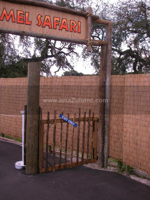 amaZulu, Inc. image 6