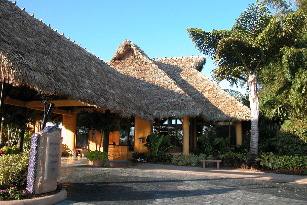 amaZulu, Inc. image 12