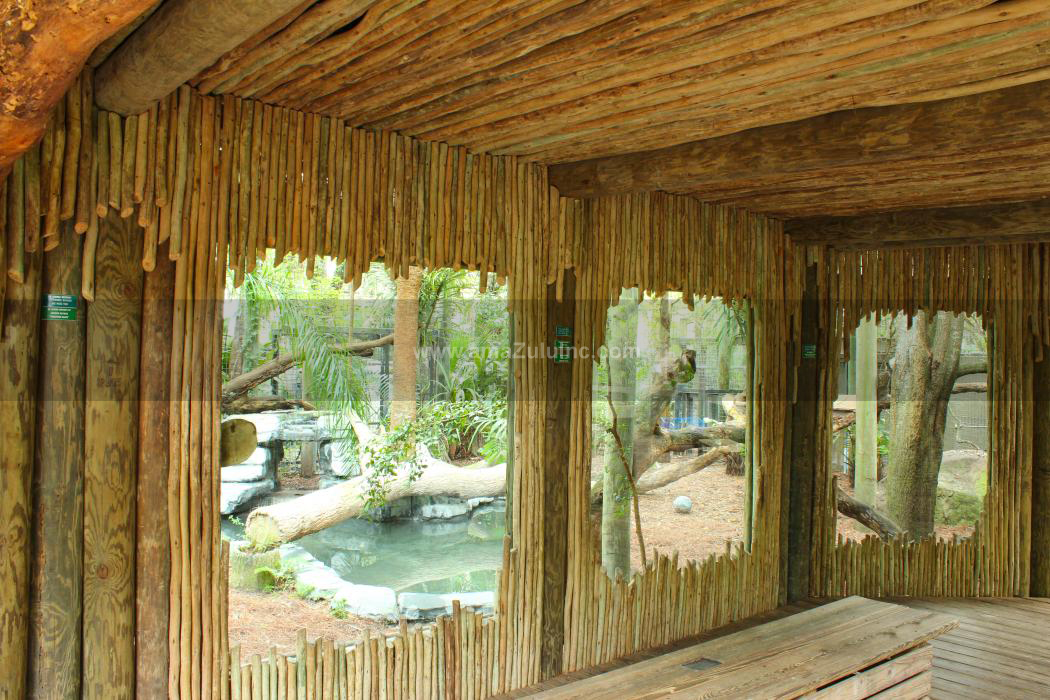 amaZulu, Inc. image 3