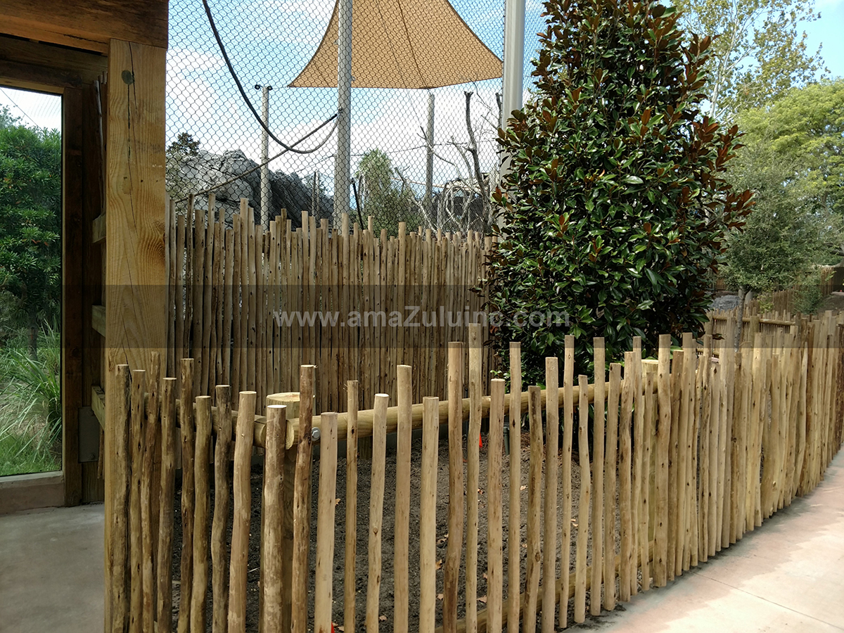 amaZulu, Inc. image 7