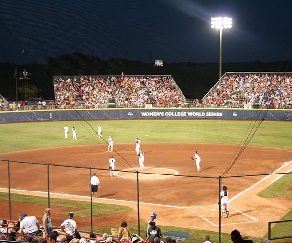 SportaFence image 6