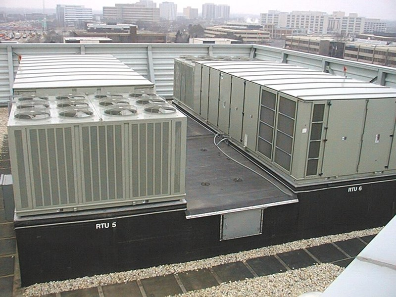 Thybar image 5