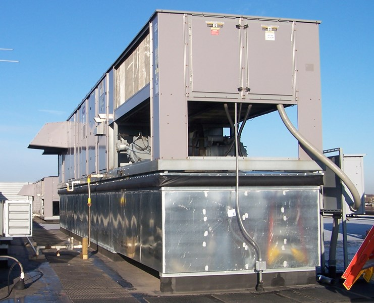 Thybar image 6