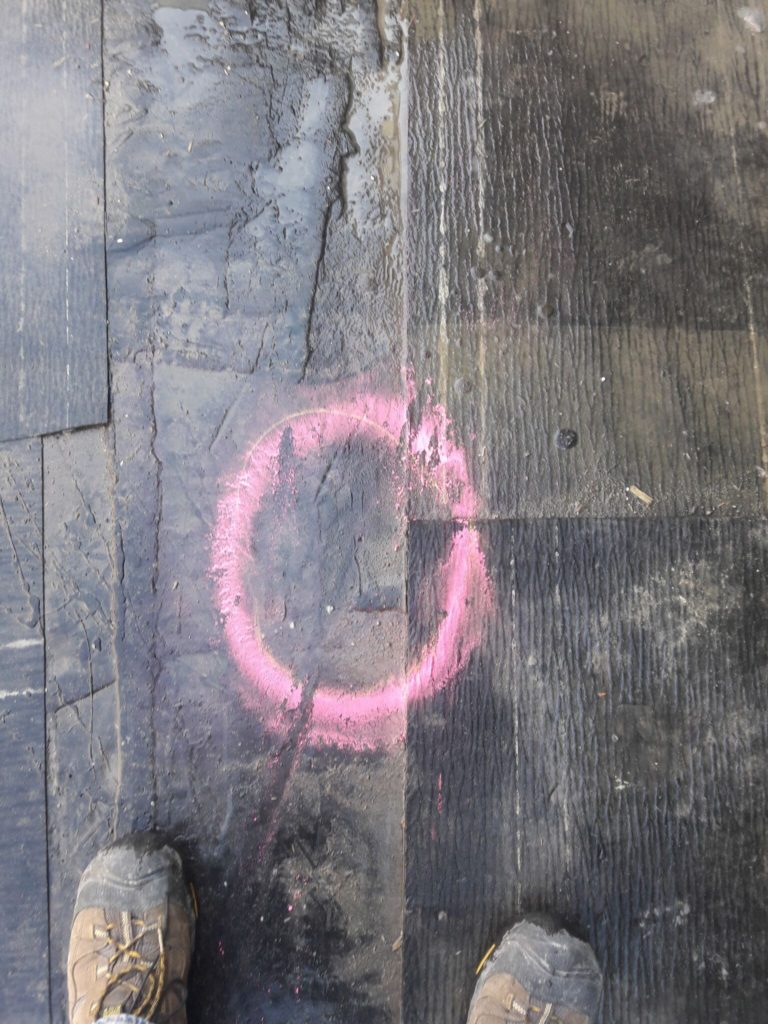Detec Systems image 8