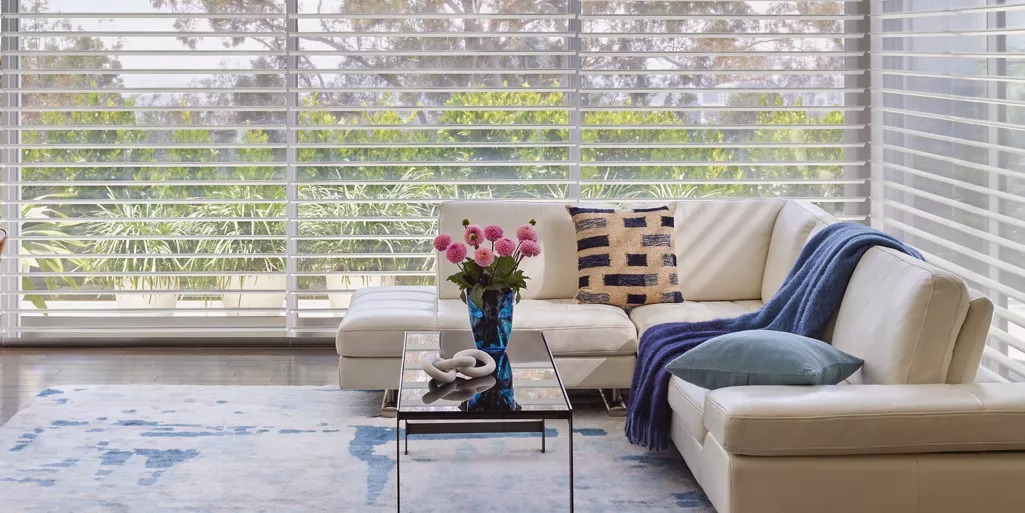 Hunter Douglas image 5