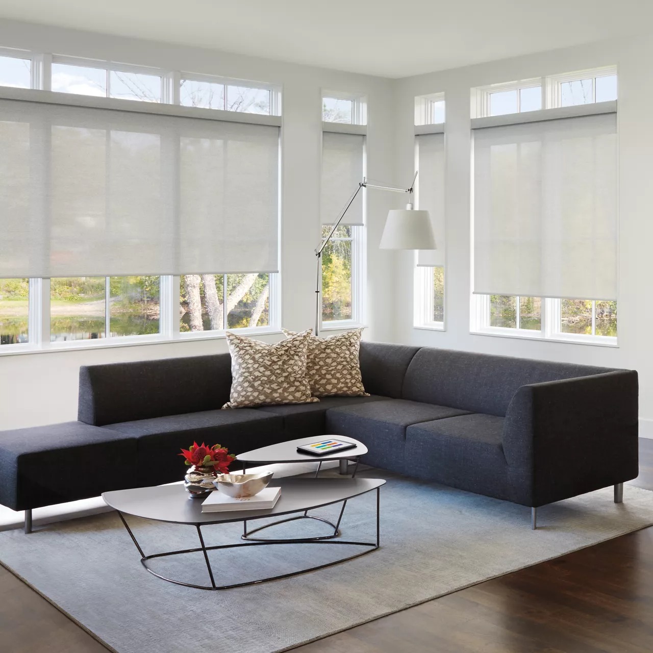 Hunter Douglas image 1