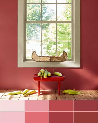 Benjamin Moore image 2