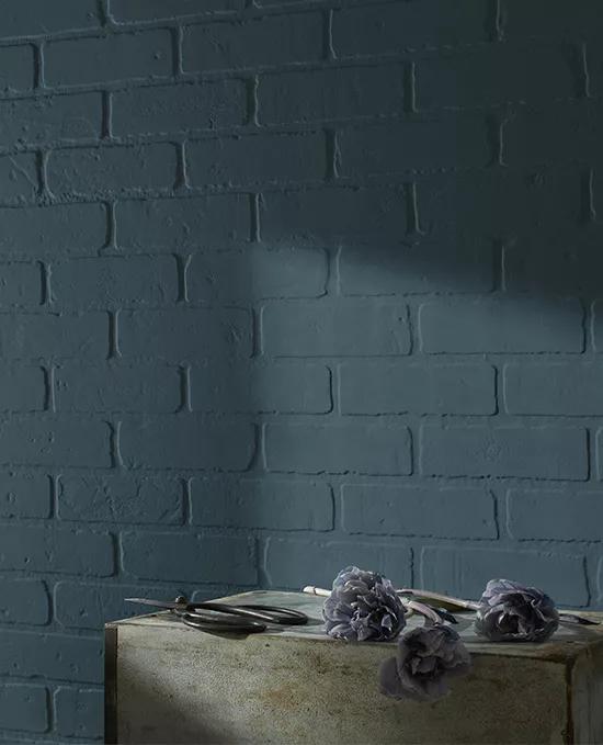 Benjamin Moore image 10