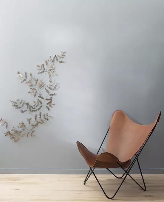 Benjamin Moore image 13