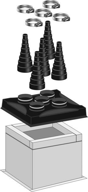 RPS image 15