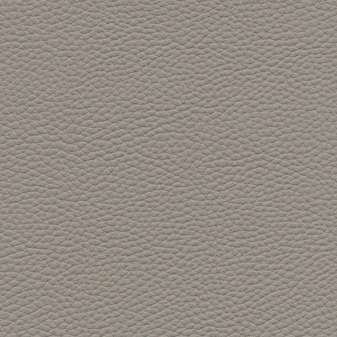 Pointe International image 13