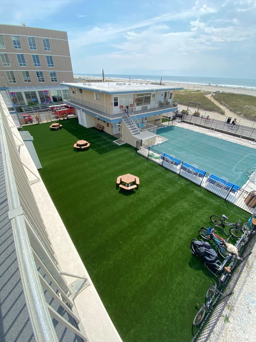 Grass-Tex image 5