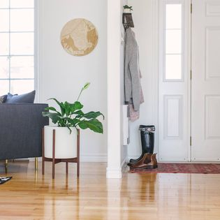 Modernica image 2