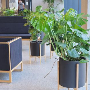 Modernica image 13