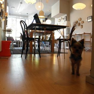 Modernica image 1