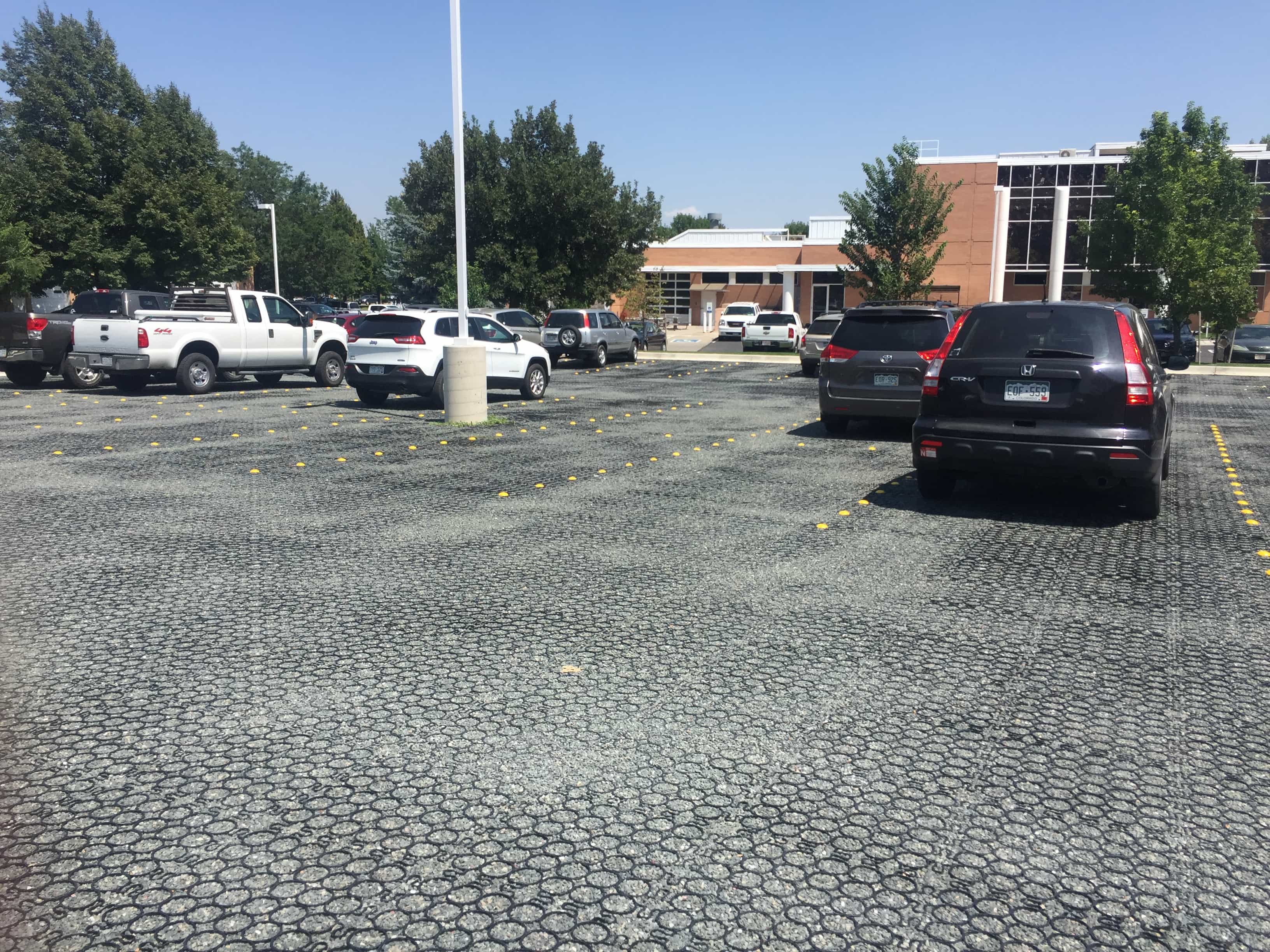 TrueGrid image 20