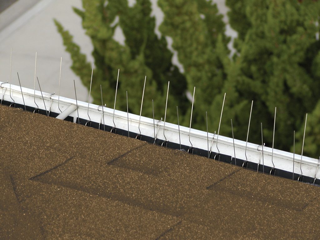 Bird Barrier America image 18