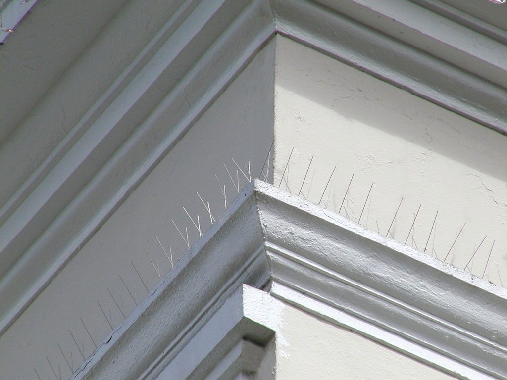 Bird Barrier America image 17
