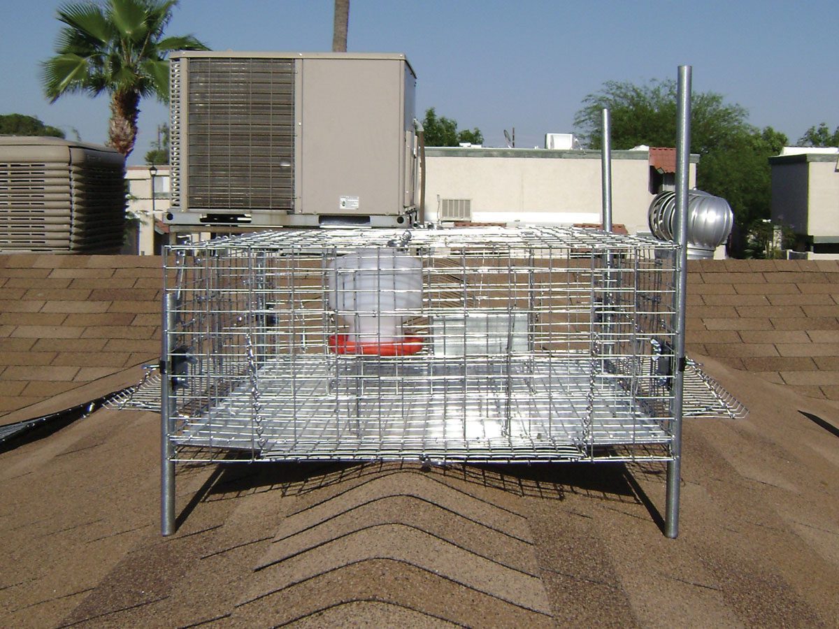 Bird Barrier America image 5