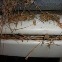 Waterloov Gutter Protection Systems Co., Inc. image 13