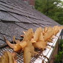 Waterloov Gutter Protection Systems Co., Inc. image 19