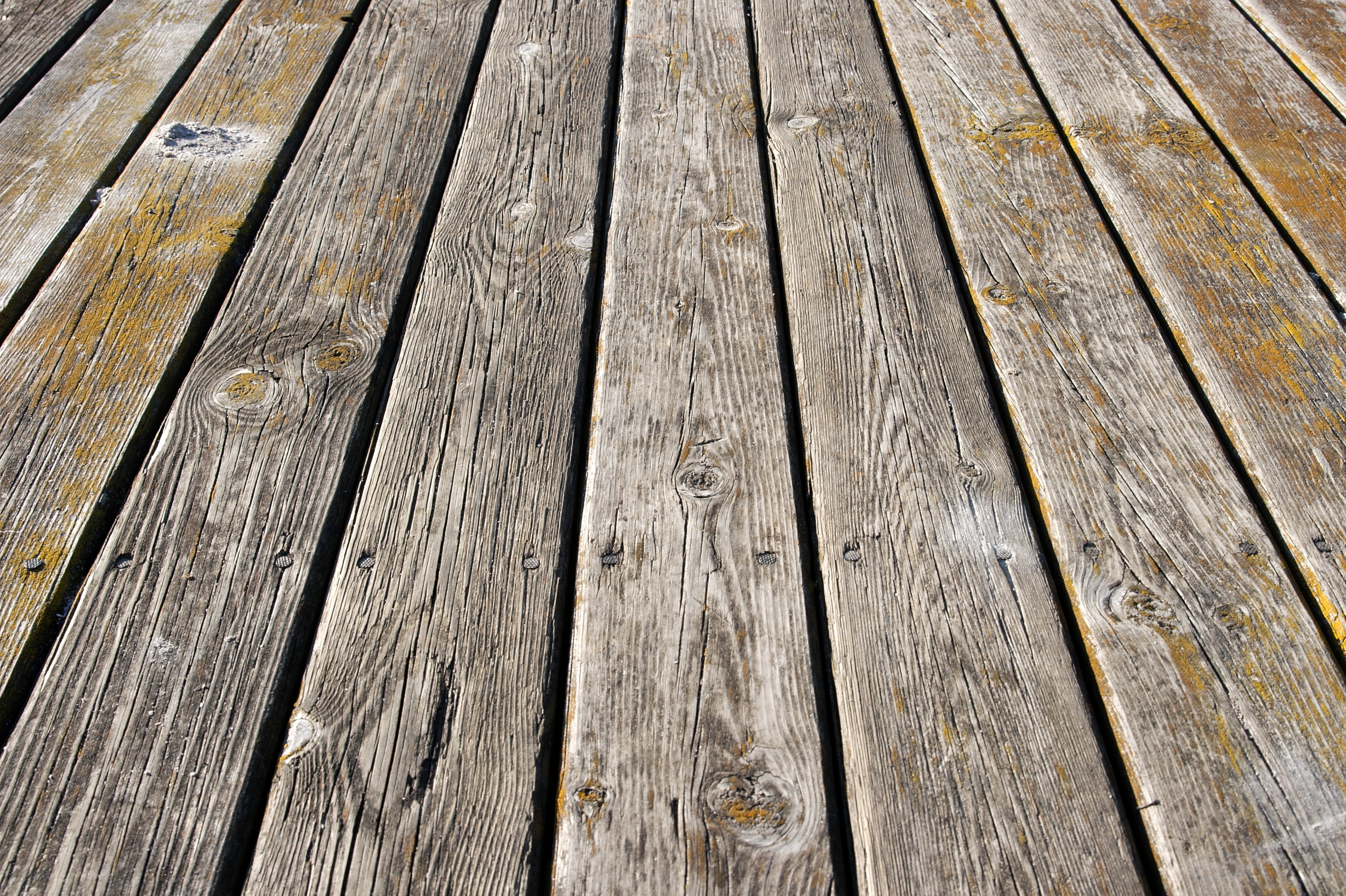 Daich Coatings Corporation image 9