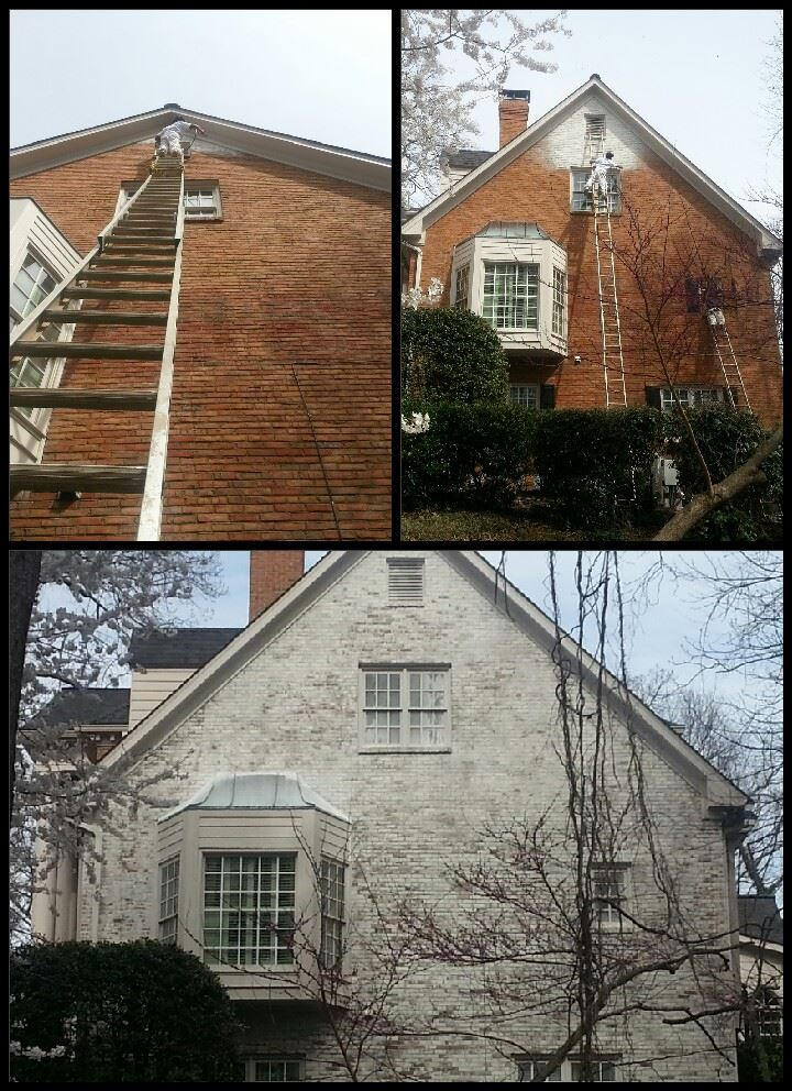 Romabio Paints LLC image 12