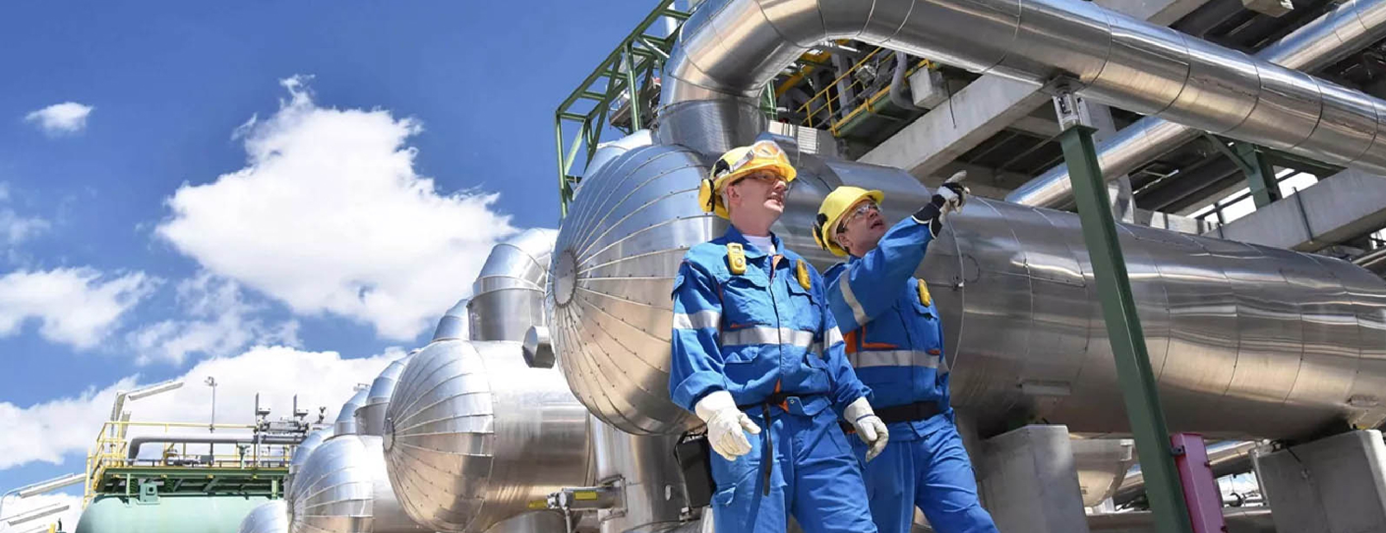 Flexible Lifeline Systems