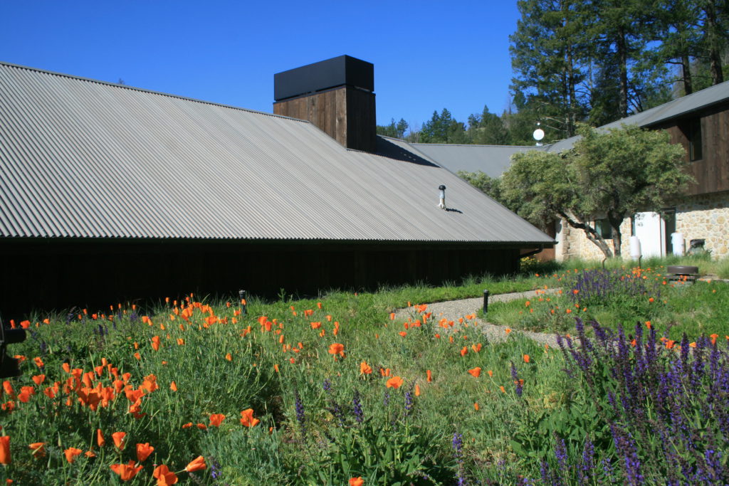Liveroof - Hortech image 15