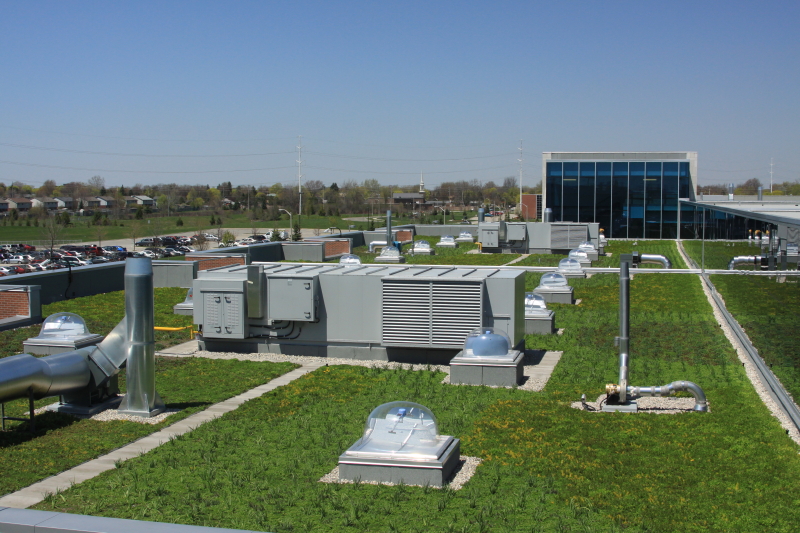 Liveroof - Hortech image 16