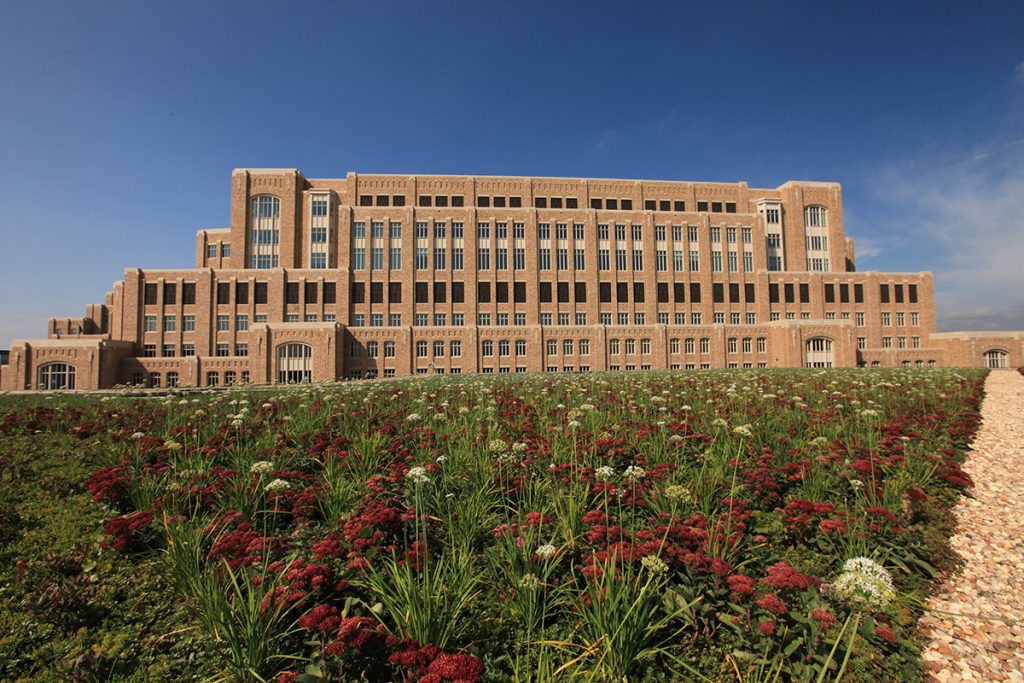 Liveroof - Hortech image 17