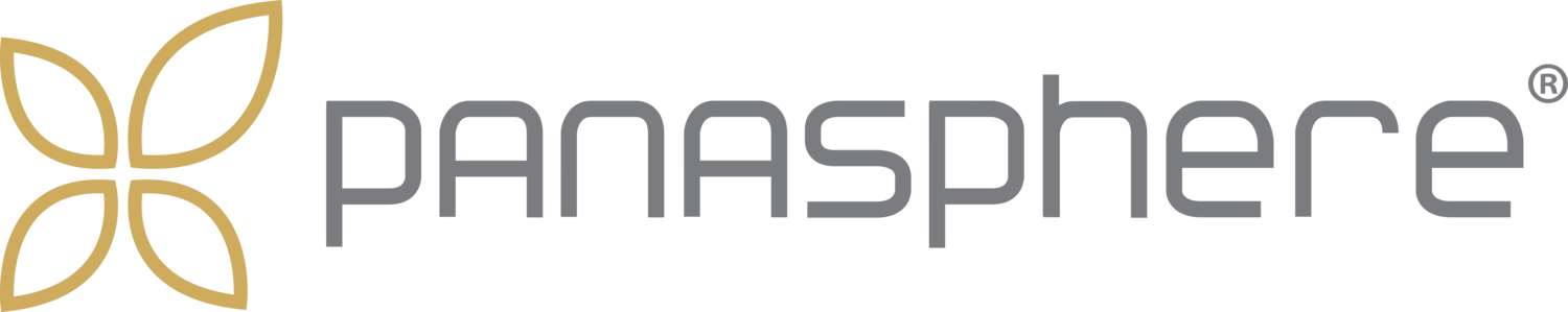 Panasphere logo