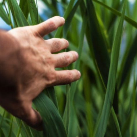 Sustainability
