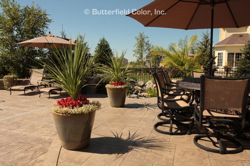 Butterfield Color image 16