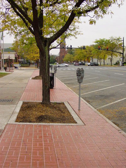 Butterfield Color image 11