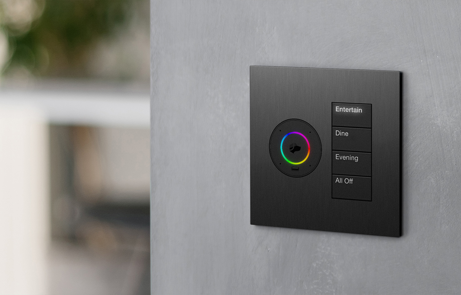 Lutron image 2