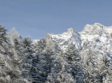 Dornbracht image 13