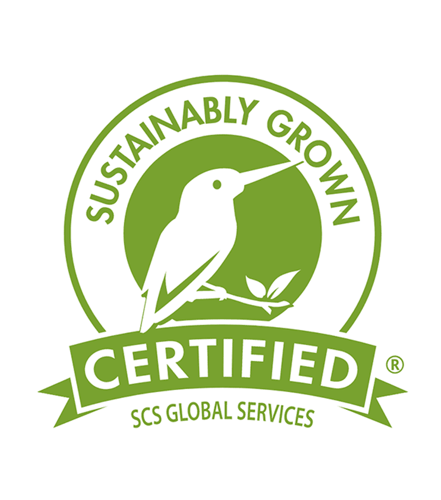 SCS