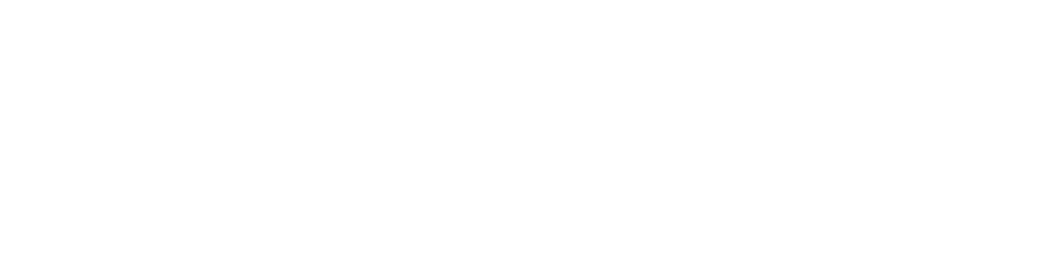 Stone Panel Systems LLC logo