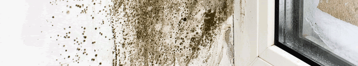 SealMax image 1